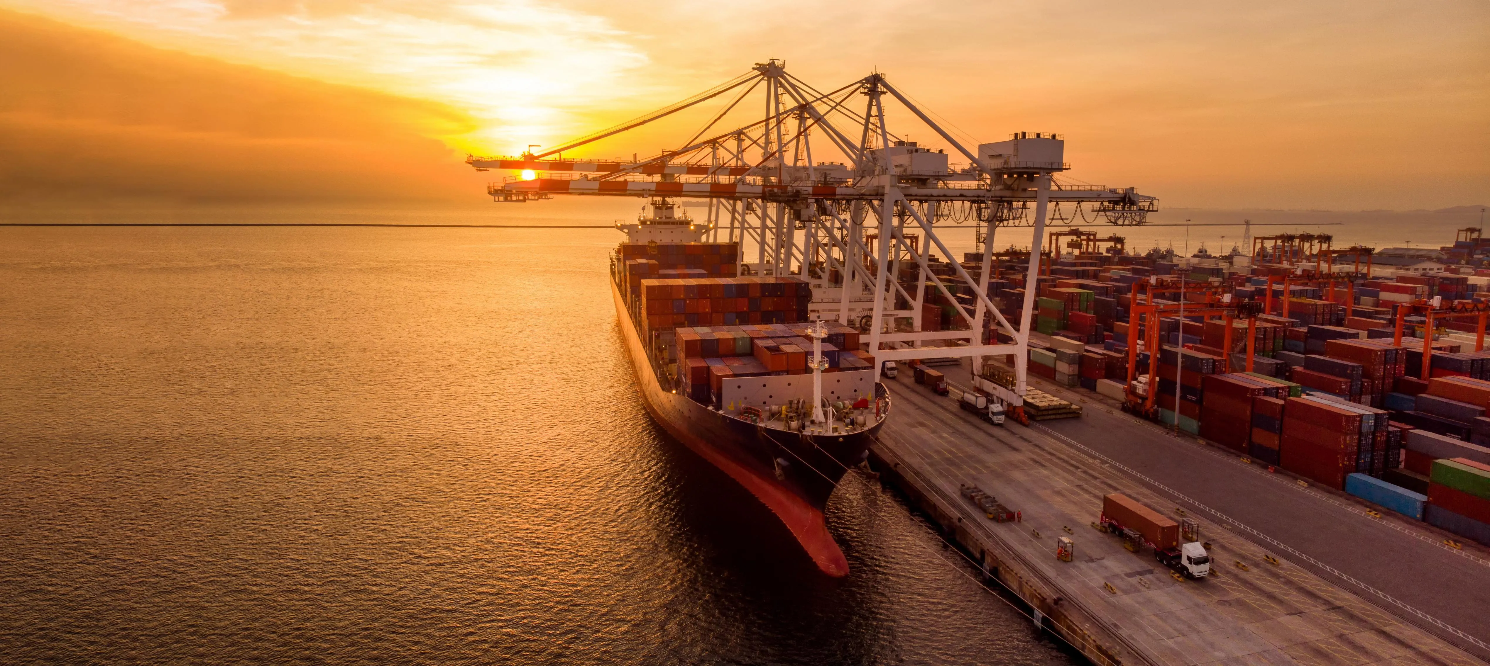 Import & Export - Professional logistics services by Ocean World Logistics in Pakistan